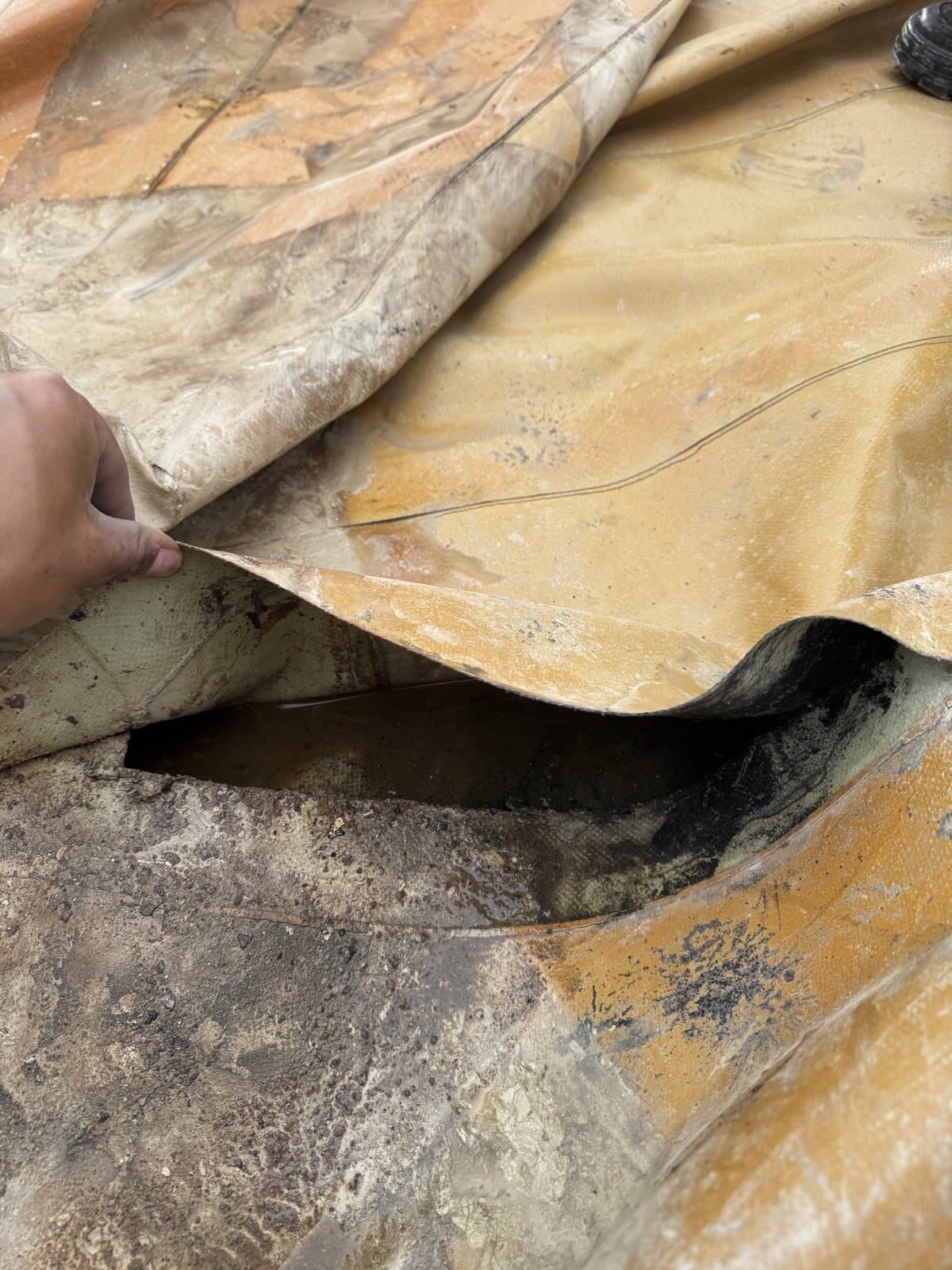 Yellow-brown deposits and retained liquid between layers of the old inner membrane