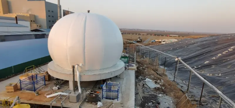 红安县鸡粪处理沼气项目