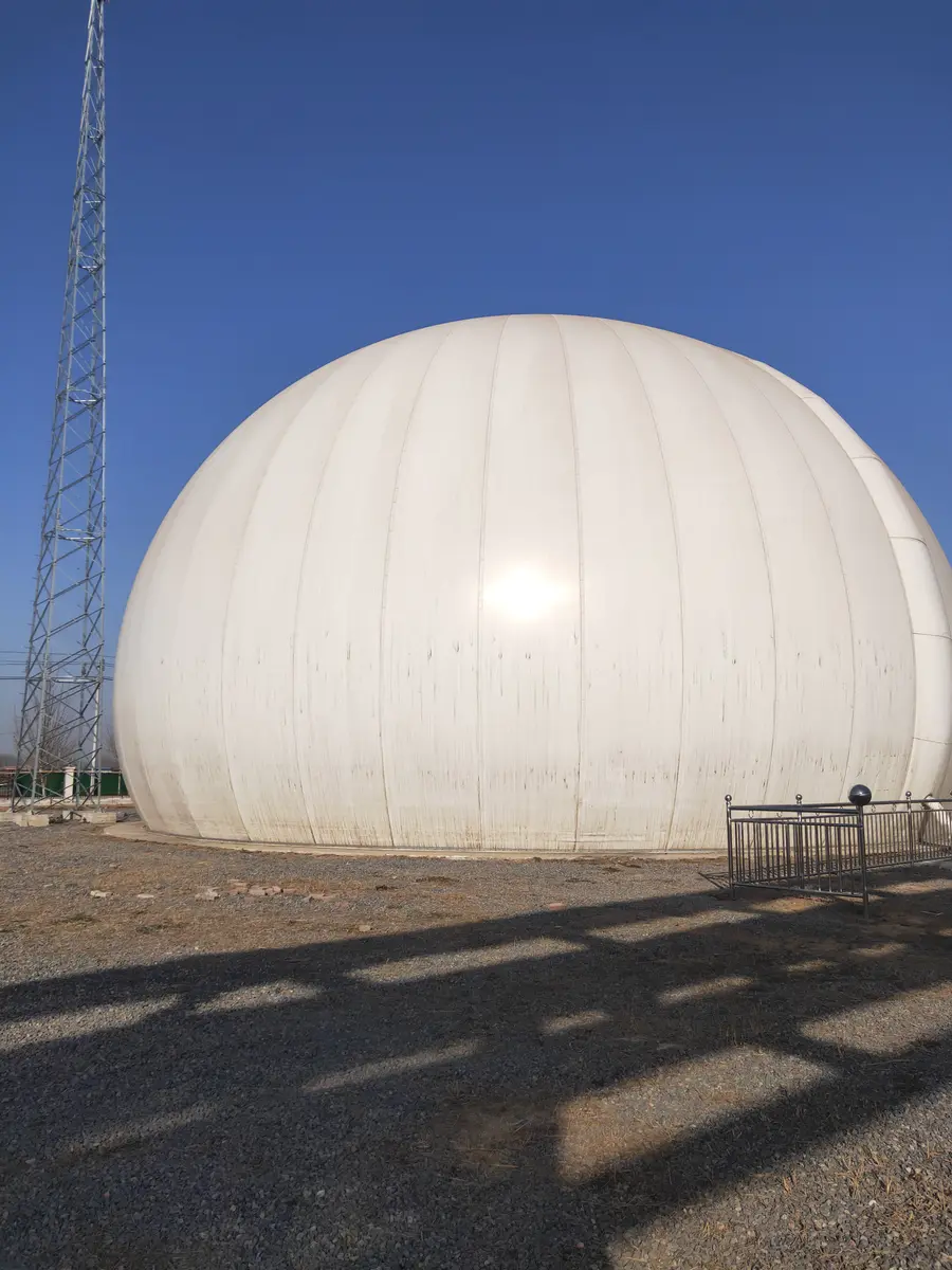 山东禹王蛋白污水处理沼气气柜