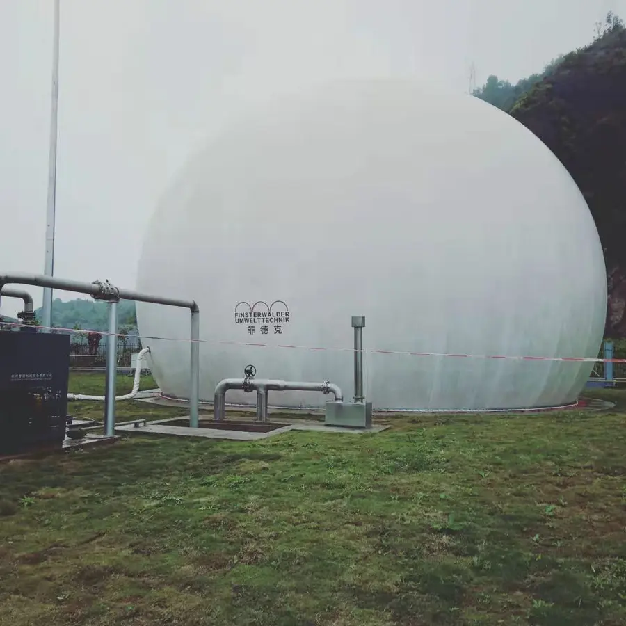 泰国沼气处理项目