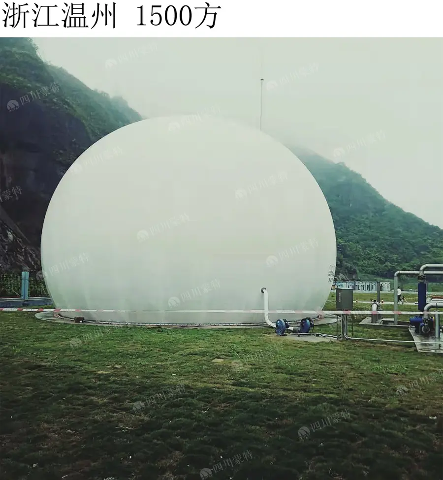 河南秸秆处理沼气发电项目